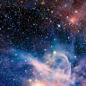 Meet your Posher, Fred